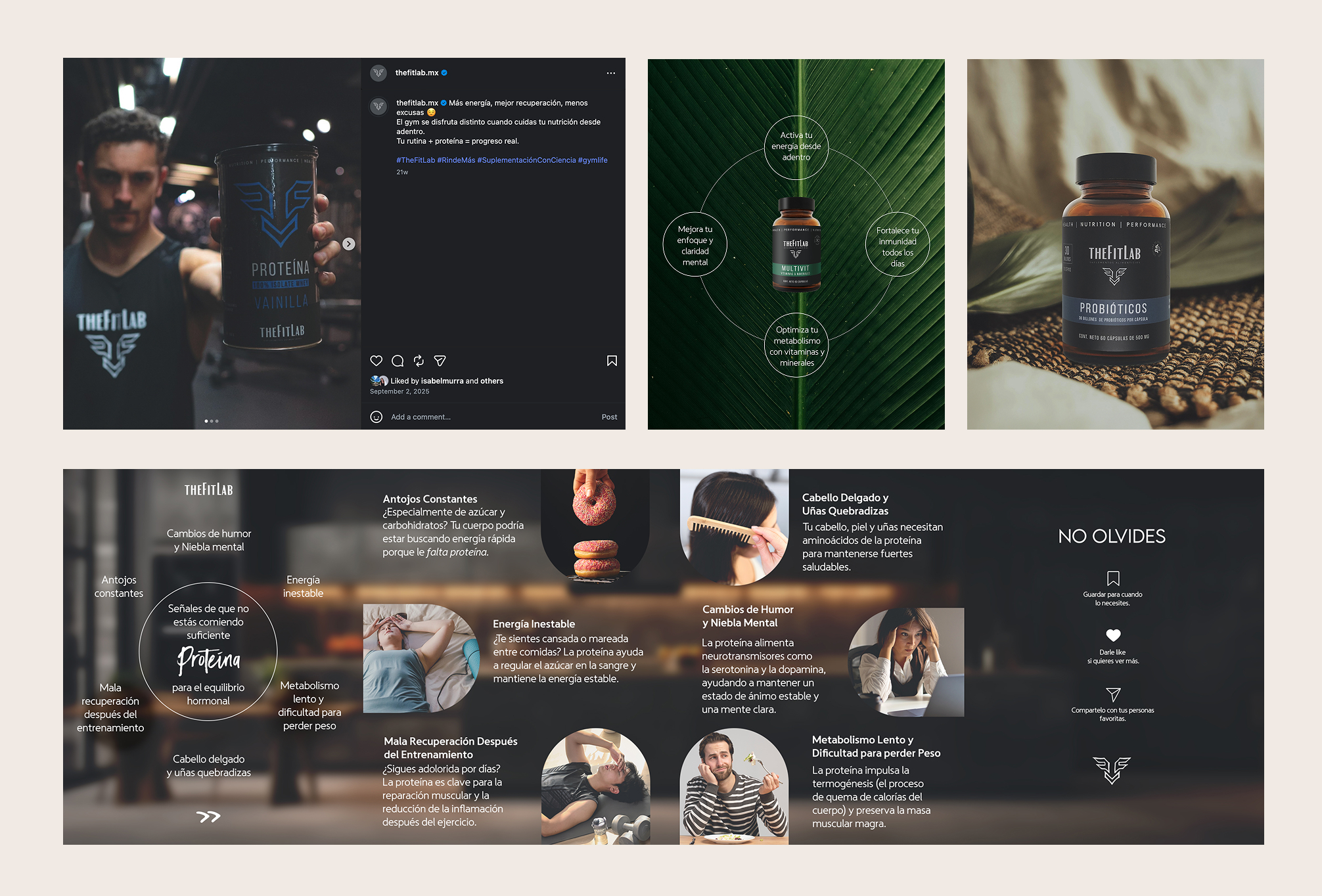 posicionamiento organico